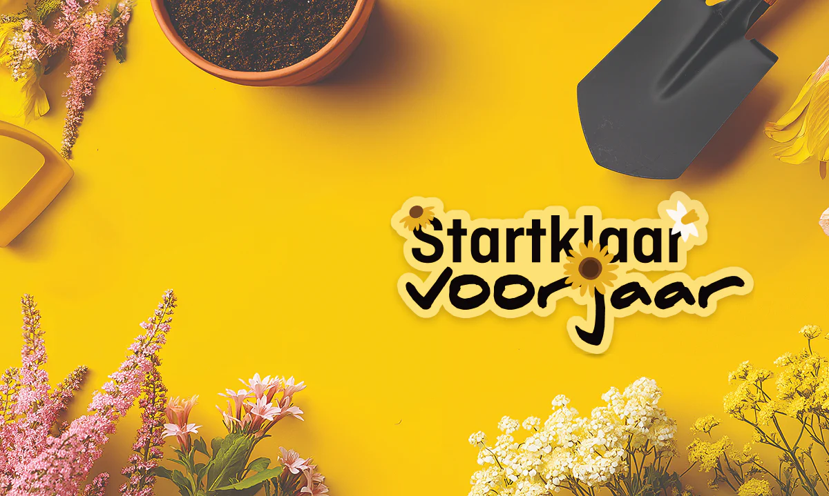 Welcome to Our Store